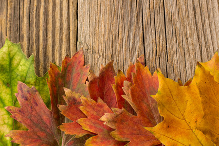 Autumn Time Background, Some fall leaves on weathered wood with copy space for your message.の写真素材