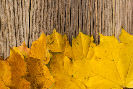 Autumn Time Background, Some fall leaves on weathered wood with copy space for your message.の写真素材
