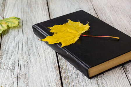 Book and colorful maple leaves on white wooden background.