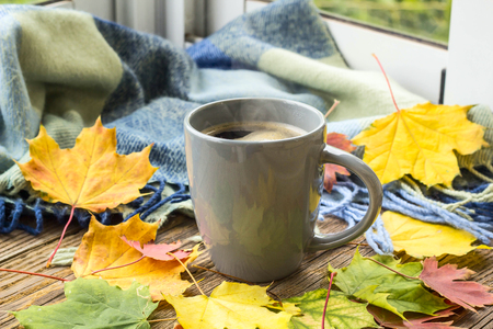 still life a cup of coffee and autumn leaves with plaid.の写真素材