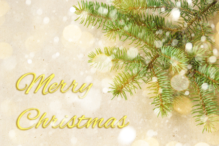 Merry Christmas and New Year typographical on holiday background with Xmas decoration, branch of fir tree and snow.の写真素材
