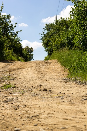 summer landscape with road in a village in Russia. Sunny summer day in the countryside.の写真素材