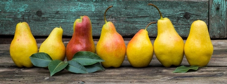 Banner of fresh pears with leaves on the dark rustic wooden table.