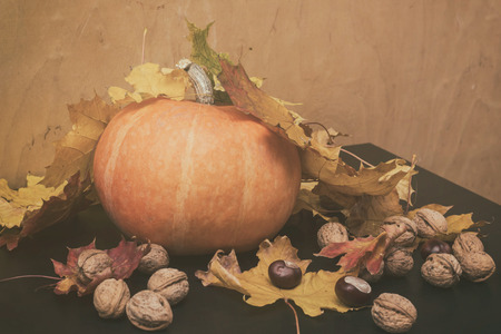 toned autumn background with leaves, nuts and pumpkin.の写真素材