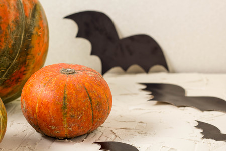 orange pumpkin and paper bats on white table, halloween concept.の写真素材