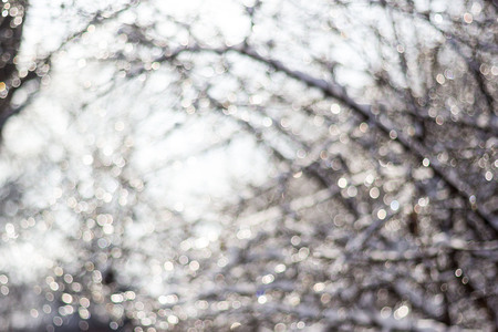 winter snow blurred background in city park, snowfall in forest, tree branches and bushes covered with snow, abstract snowflakes in blur.の写真素材