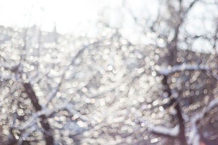 winter snow blurred background in city park, snowfall in forest, tree branches and bushes covered with snow, abstract snowflakes in blur.の写真素材