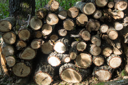 Stacked firewood as background, closeup. Heating house in winter time