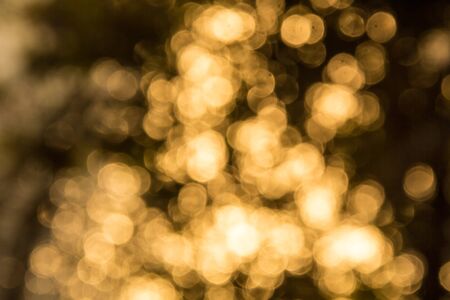 Sunny bokeh of light through the branches of trees in summer