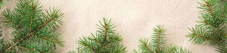 banner of fir branches border on light rustic background, good for christmas backdrop.