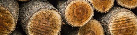 banner of Background of dry chopped firewood logs stacked up on top of each other in a pile.