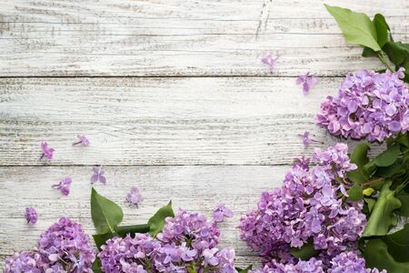 blooming spring lilac flowers on a white wooden background. Top view with copyspace