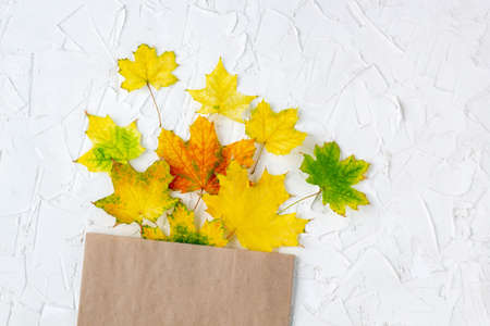 Colorful autumn leaves in a brown craft bag on white background for sopping, sale. Top viewの写真素材