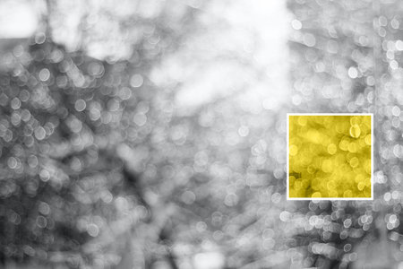 winter snow blurred background in city park, snowfall in forest, tree branches and bushes covered...