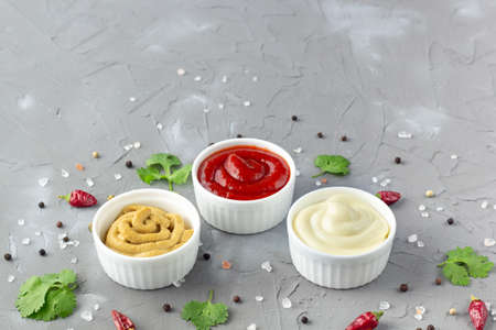 Set of various sauces with spices on gray stone background. Mayonnaise ketchup mustard. with copy spaceの写真素材