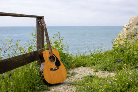 acoustic guitar stands near the fence in the green grass against the background of the sea. romantic...