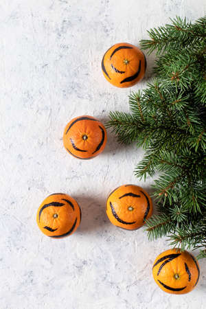 Tangerines with painted stripes on a white background with a Christmas tree. The concept for the new year of the tiger for children. Tiger mandarines for kids funの写真素材