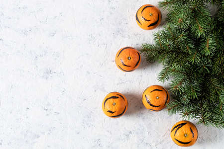 Tangerines with painted stripes on a white background with a Christmas tree. The concept for the new year of the tiger for children. Tiger mandarines for kids funの写真素材