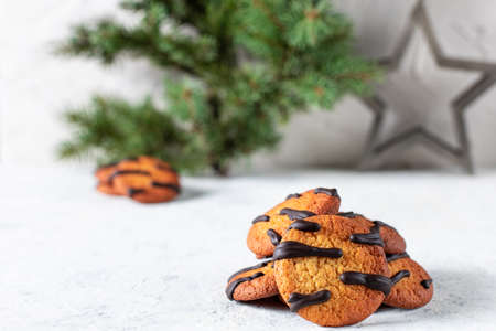 orange mandarin cookies with black stripes and fir tree branchesの写真素材