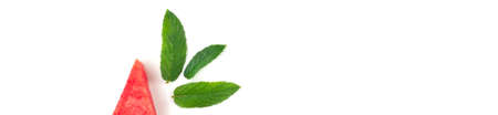banner of Slice of watermelon with seeds and mint leaves isolated on white background. Summer concept with copy spaceの写真素材