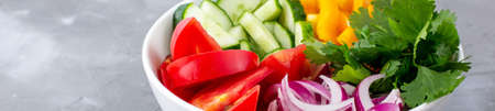 banner of Plate of rainbow salad with different vegetables and herbs in white bowl on gray stone background. With copyspaceの写真素材