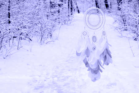Dream catcher with feathers threads and beads rope hanging. Dreamcatcher handmade in very pei trendy color. background. Color of the year 2022.の写真素材