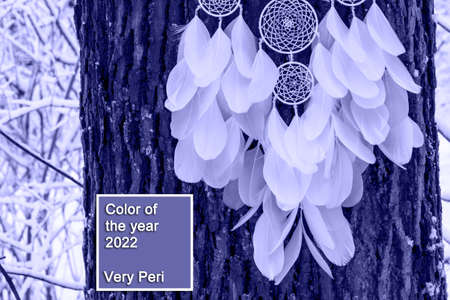 Dream catcher with feathers threads and beads rope hanging. Dreamcatcher handmade in very pei trendy color. background. Color of the year 2022.の写真素材