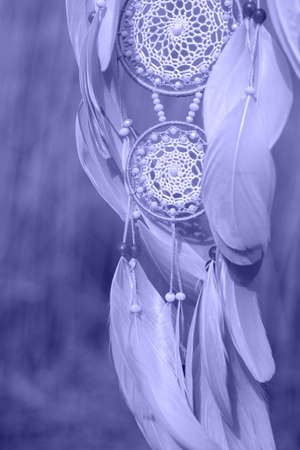 Dream catcher with feathers threads and beads rope hanging. Dreamcatcher handmade in very pei trendy color. background. Color of the year 2022.の写真素材