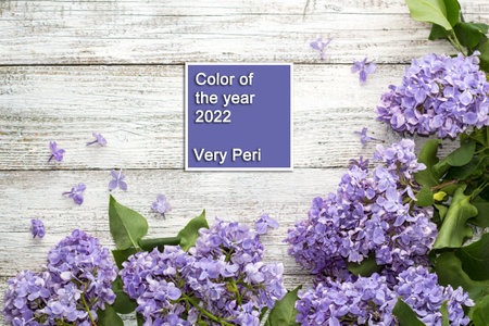 blooming spring lilac flowers on a white wooden background. Top view with copyspace in very peri trendy color of the year 2022. Color of the year 2022.の写真素材