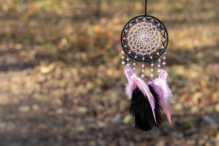 Dream catcher with feathers threads and beads rope hanging. Dreamcatcher handmadeの写真素材