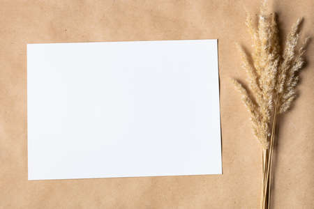 White paper empty blank for mock up with dried spikelets decoration on craft beige background. Flatlay, top view with copy space, mockup. Minimal boho styleの写真素材