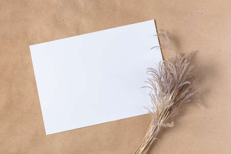 White paper empty blank for mock up with dried spikelets decoration on craft beige background. Flatlay, top view with copy space, mockup. Minimal boho styleの写真素材