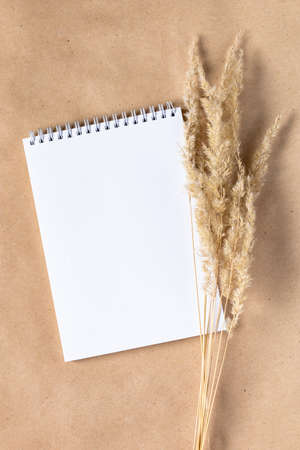 Open white paper empty blank of notepad for mock up with dried spikelets decoration on craft beige background. Flatlay, top view with copy space, mockup. Minimal boho styleの写真素材