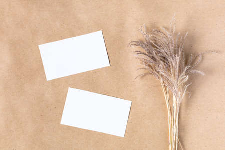 Two white business card empty blank for mock up with dried spikelets decoration on craft beige background. Flatlay, top view with copy space, mockup. Minimal boho styleの写真素材