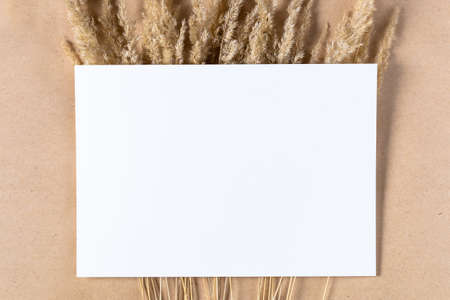 White paper empty blank for mock up with dried spikelets decoration on craft beige background. Flatlay, top view with copy space, mockup. Minimal boho styleの写真素材