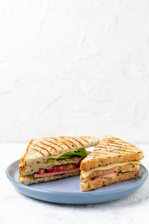 sandwich with ham cheese tomatoes lettuce onions on plate. Classic club sandwich with whole grain bread on white background.の写真素材