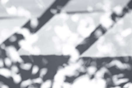 Abstract gray shadows from plant leaves on white background. Black and white shadow isolated for...