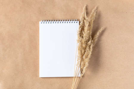 Open white paper empty blank of notepad for mock up with dried spikelets decoration on craft beige...