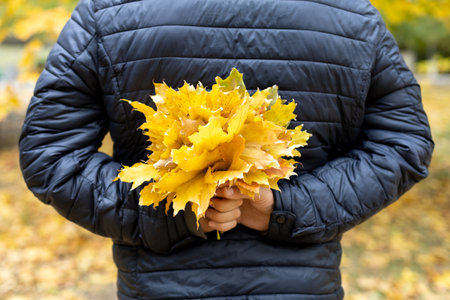 A man in a black jacket holds a bouquet of yellow autumn maple leaves behind his back. rear view. autumn moodの写真素材