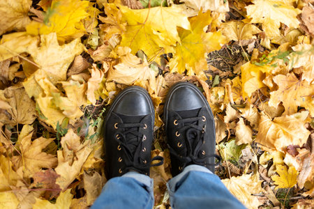 legs in black sneakers and blue jeans on a background of yellow maple leaves. top view. Autumn walk in the park. autumn moodの写真素材