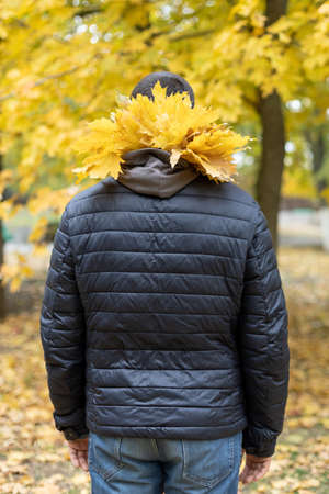 A man in a black jacket with a bouquet of yellow autumn maple leaves in their hood. rear view....