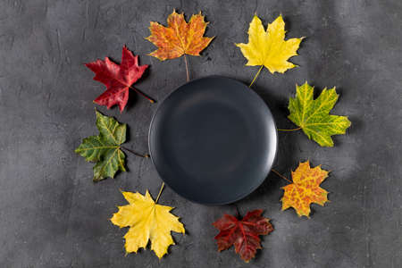 Autumn table setting with bright colorful maple leaves and black plate. flat lay. top view with copy spaceの写真素材