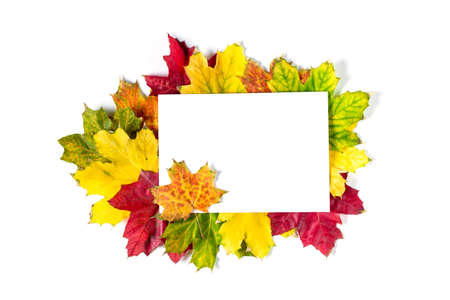 Colorful frame of fallen autumn leaves and a blank paper sheet. autumnal card. Flat lay, top view, copy space for your textの写真素材
