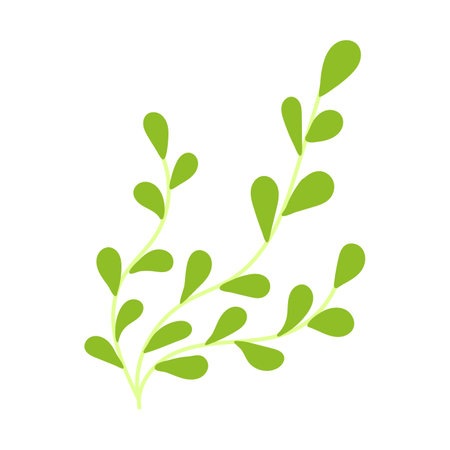 seaweed flat vector cartoon color illustration. Sea or ocean underwater life icon on white backgroundのイラスト素材