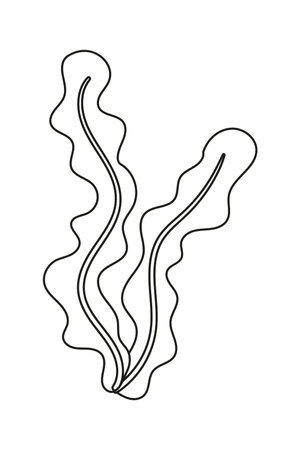 seaweed flat vector cartoon illustration. Superfood - healthy spirulina, algae. Sea or ocean underwater life icon on white backgroundのイラスト素材