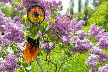 Dream catcher with feathers threads and beads rope hanging. Dreamcatcher handmadeの写真素材
