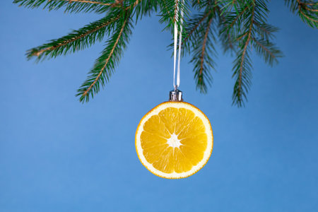 Creative christmas decoration: orange slice ornament hung on pine branch with blue background.の写真素材
