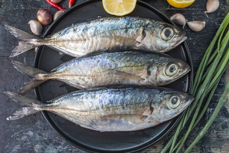 Fish