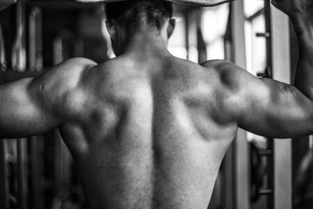 Back muscles
