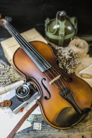 Violinの写真素材